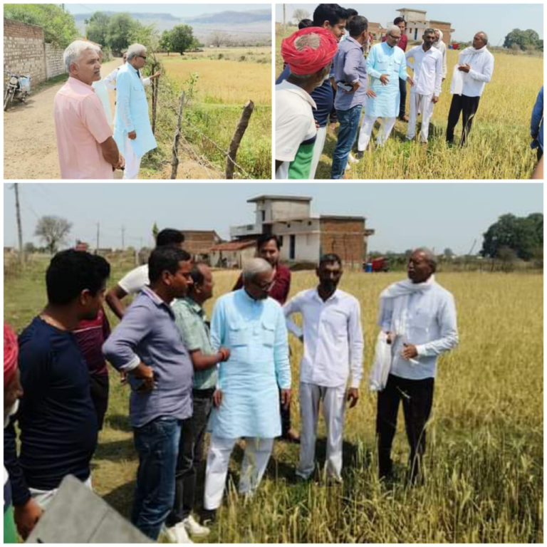 REWA सांसद जनार्दन मिश्रा ने ओला प्रभावित गावो का किया दौरा, ग्राम भड़रा में राममिलन विश्वकर्मा के निधन पर व्यक्त की शोक संवेदना