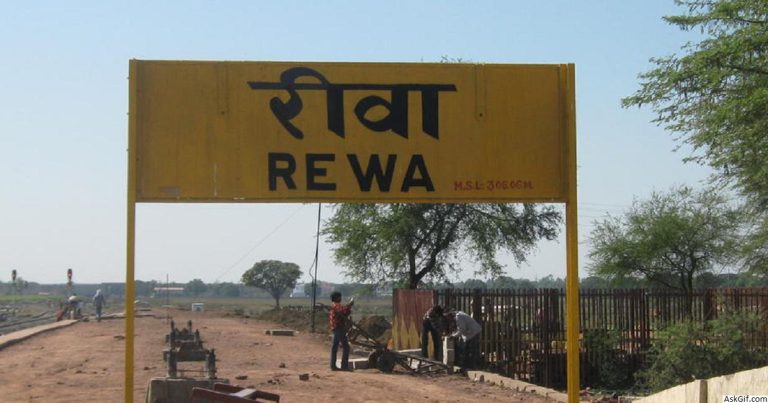 Rewa Top News:  रीवा और आस पास की प्रमुख खबरें पढ़े एक साथ यहाँ पर